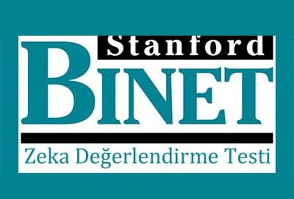 stanford binet zeka olcegi egitimiuniver 1337 948x1024 1 1